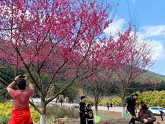 -福清灵石山国家森林公园