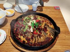 -老板恋上鱼(恒隆广场店)