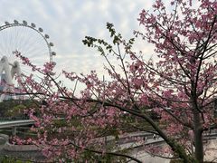 -星巴克臻选(深圳欢乐港湾店)