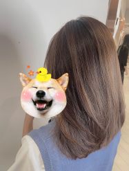 -苏豪路易士·嘉玛发廊