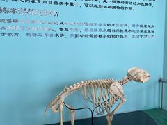 -沈阳森林动物园