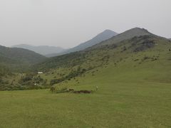 -大姆山草场