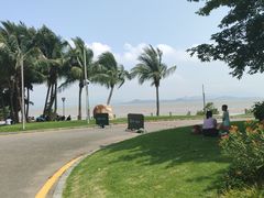 -深圳湾公园(南山区)