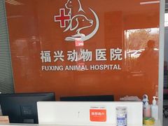 -瑞派福兴宠物医院犬猫全科·骨科·中西医结合(河东店)