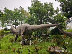 -自贡恐龙博物馆