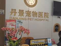 -丹景宠物医院·全科·老年病·牙科(武昌诊疗中心)