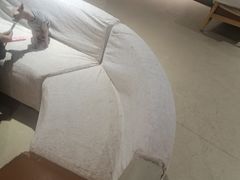 -藏猫猫咖啡主题馆(中央大道店)