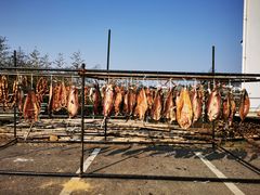 -桃花姐假日酒店·桃花潭土菜馆