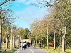 -顺峰山公园