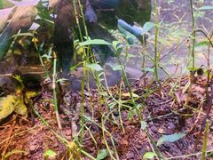 -正佳雨林生态植物园