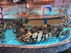 -百富源·海鲜辽菜(张士店)