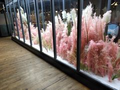 -拈菜(观音桥阳光世纪店)