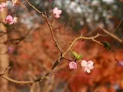 -狼山风景名胜区