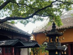 -西塘古镇-护国随粮王庙