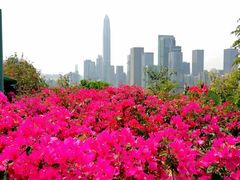 -四海公园(南山区)