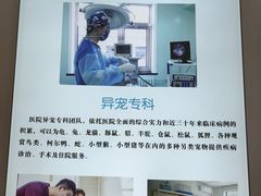 -北京观赏动物医院·24小时大型综合·猫专科·异宠专科