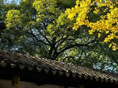 -常熟方塔园