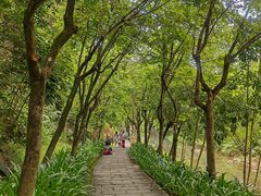 -广州白江湖森林公园