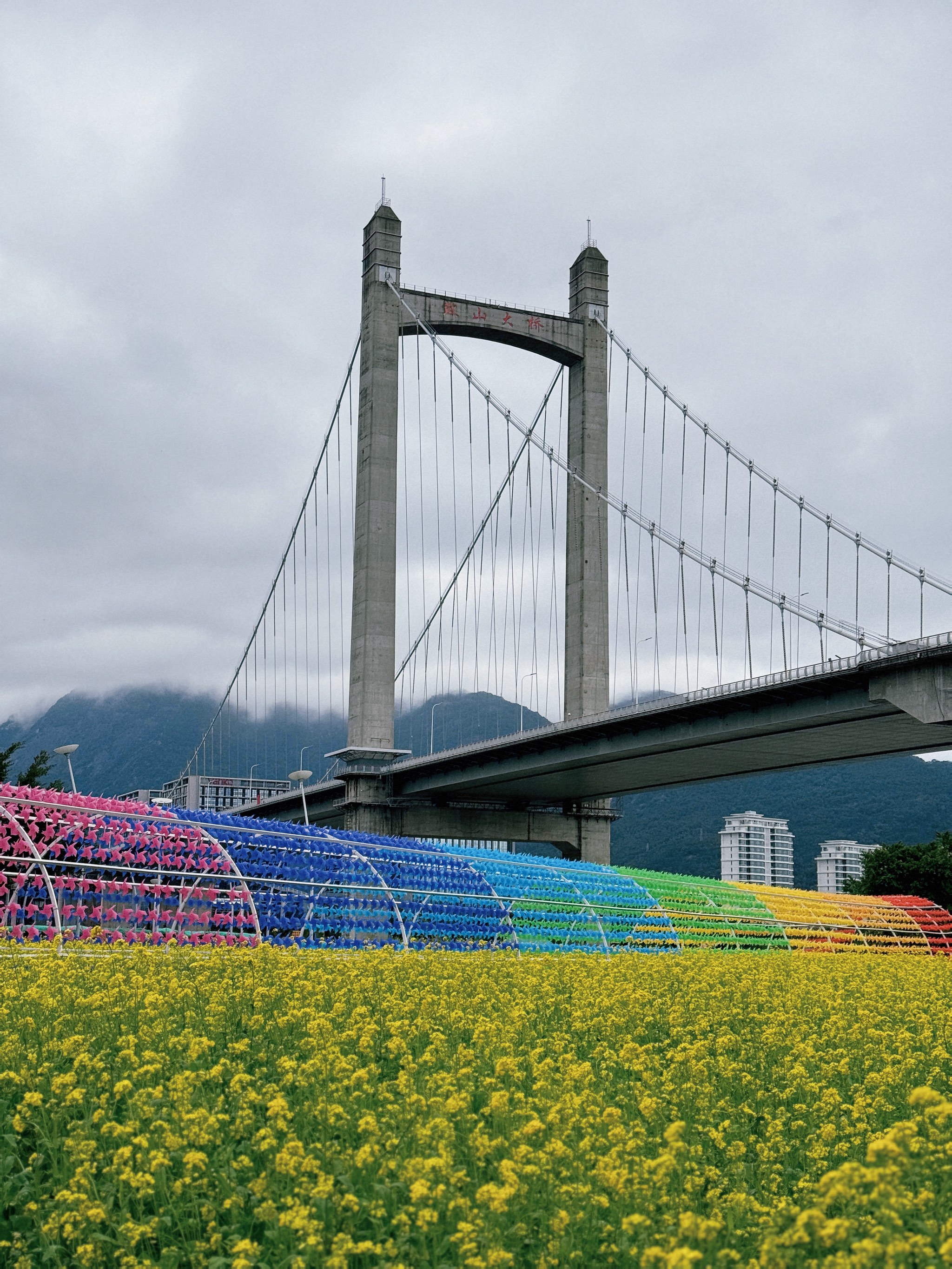 福州的花海公园的景色图片