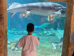 -华夏文旅海洋公园