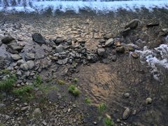 -徽州美食(三十年老店)