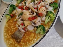 鲜花椒鲈鱼-东方之珠海鲜酒楼(南开店)