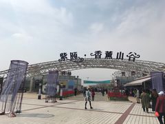 -紫颐香薰山谷景区