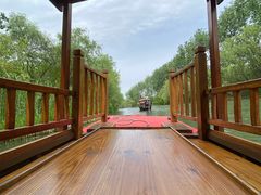 -溱湖国家湿地公园