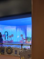 -超级奈尔宝SUPER NEOBIO(杭州星光店)