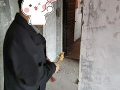 -今朝装饰旗舰店(并州北路店)