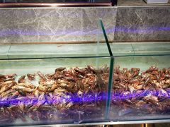 -九寸花汀(摩天活力城店)