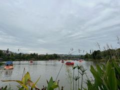 -枫香湖儿童公园