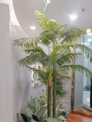 -八佰伴8008星级形象店