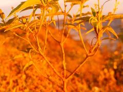 -维乐口腔医院(福清院)