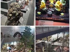 -湖南省地质博物馆