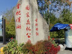 -合肥滨湖国家森林公园