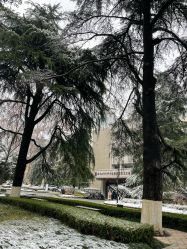 -南京医科大学友谊整形外科医院