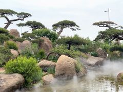 -罗红摄影艺术馆