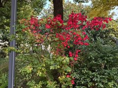 -苏州河梦清园环保主题公园