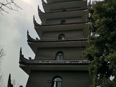 -生宇山珍野生菌汤锅•始于1999(双流古塔店)