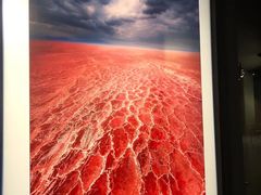 -罗红摄影艺术馆