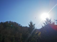 -秦岭风景区