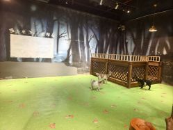 -酷嗒动物文化乐园(cutezoo西溪乐天城店)