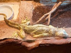 -上海大自然野生昆虫馆