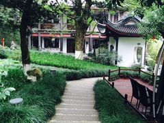 -十八棵（老龙井）御茶园(老龙井店)