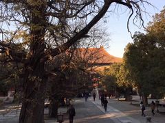 -北京国子监胡同