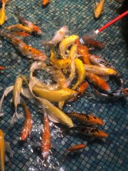 -酷嗒动物文化乐园(cutezoo西溪乐天城店)