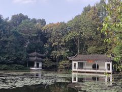 -杭州植物园