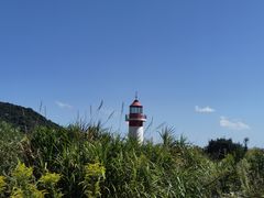 -花岙岛