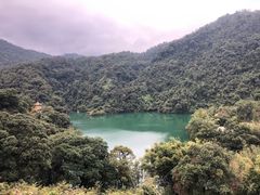 -鼎湖山风景区
